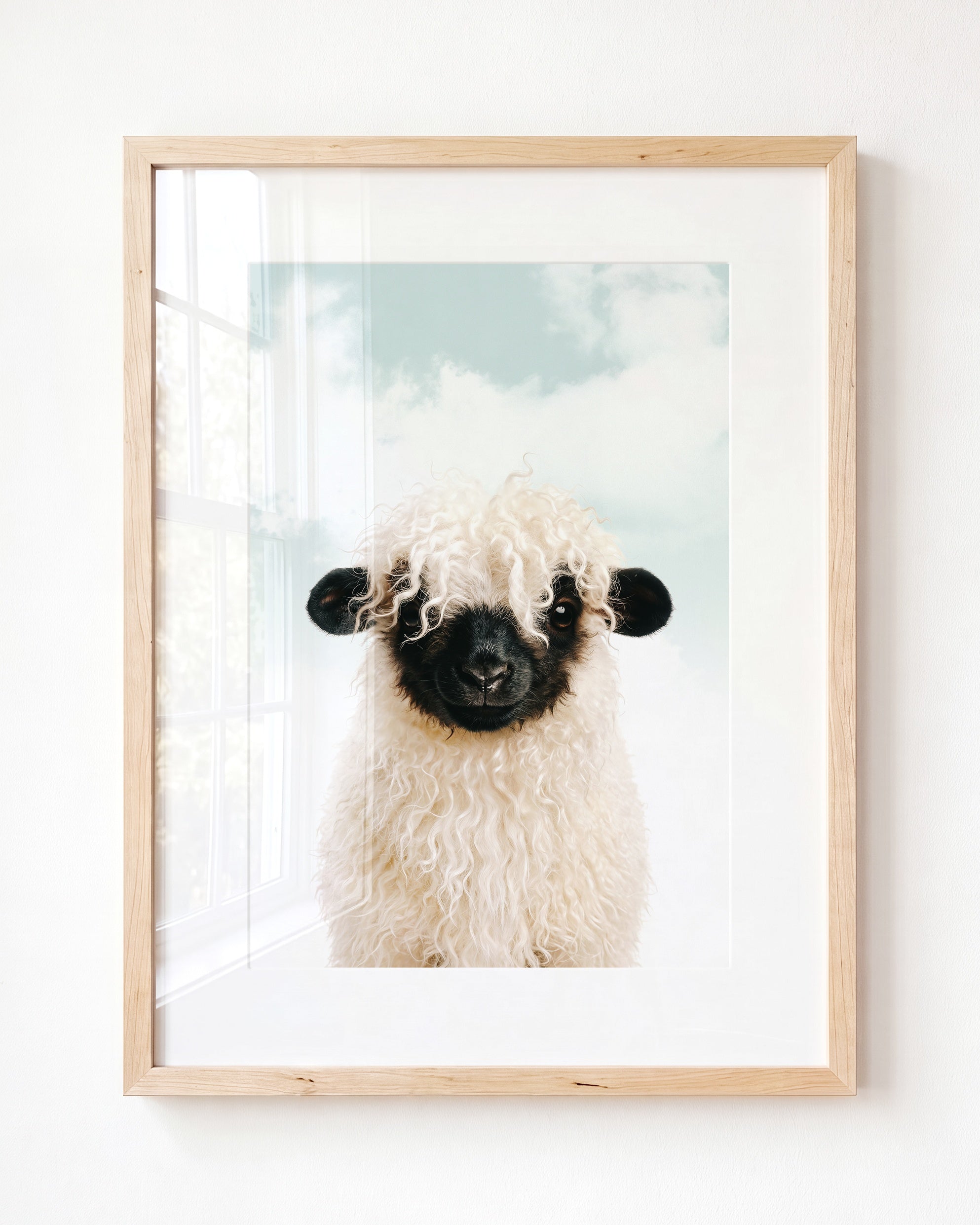 Baby Blacknose Sheep