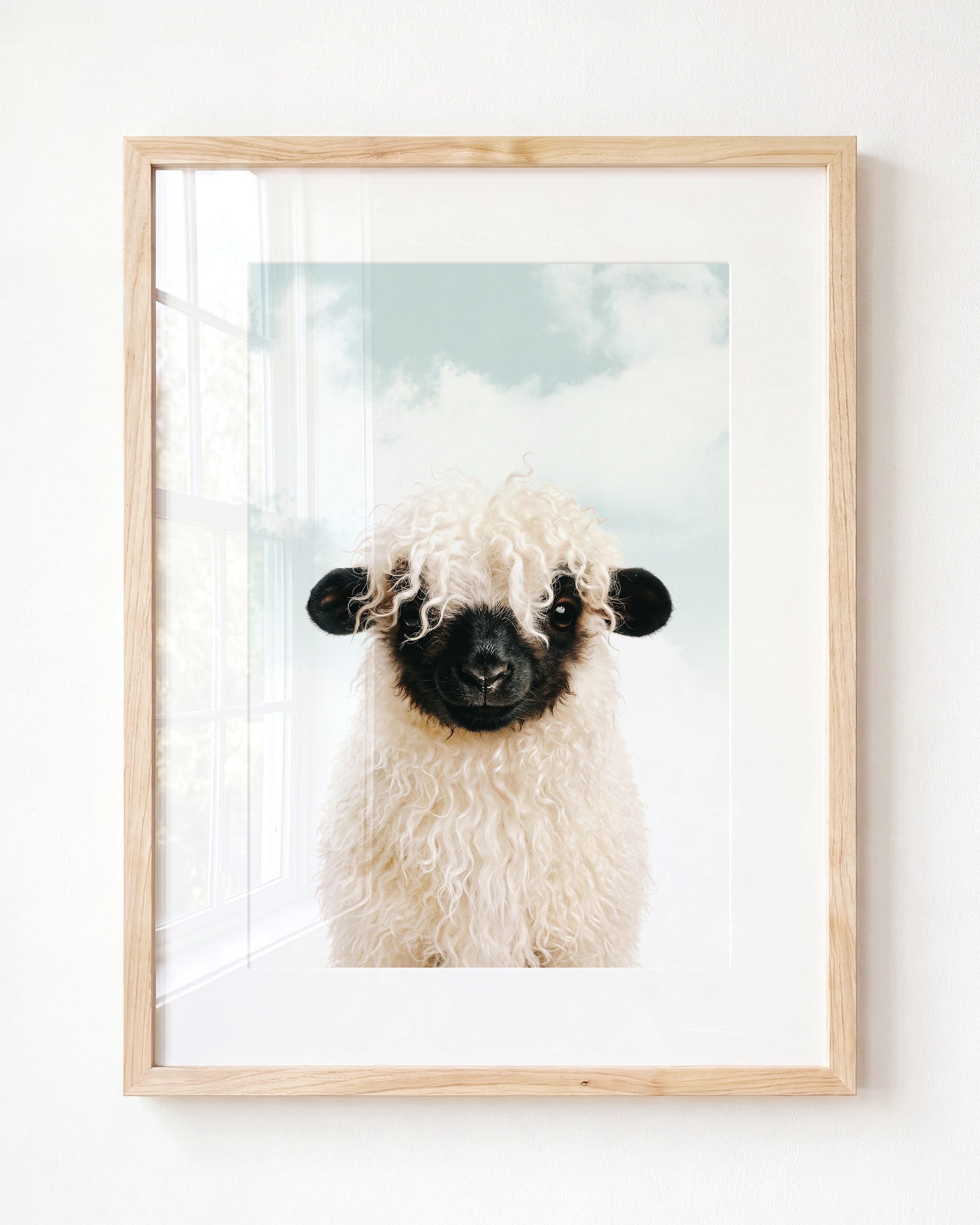 Baby Blacknose Sheep