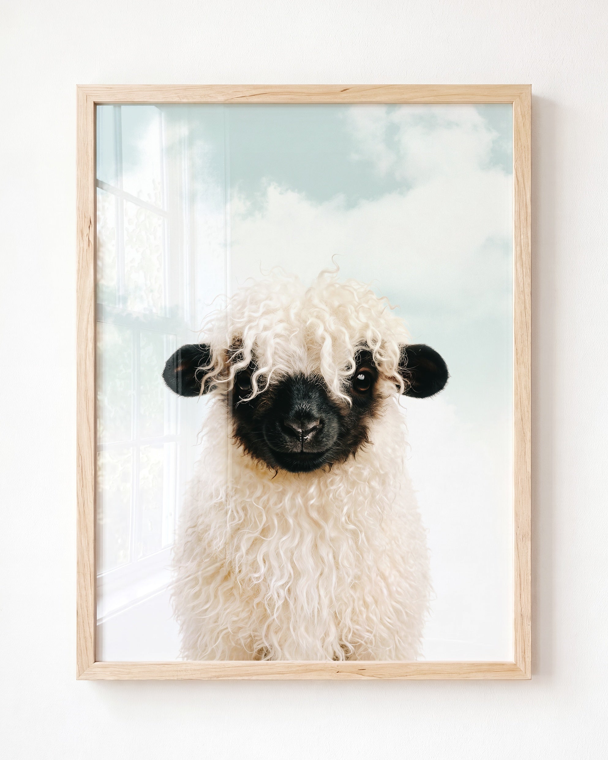 Baby Blacknose Sheep