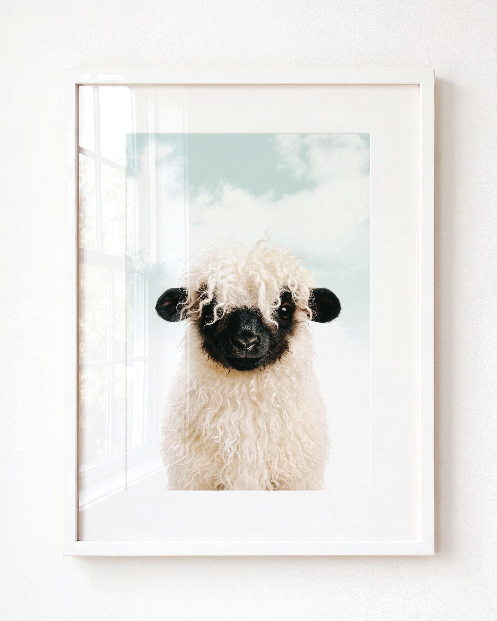 Baby Blacknose Sheep