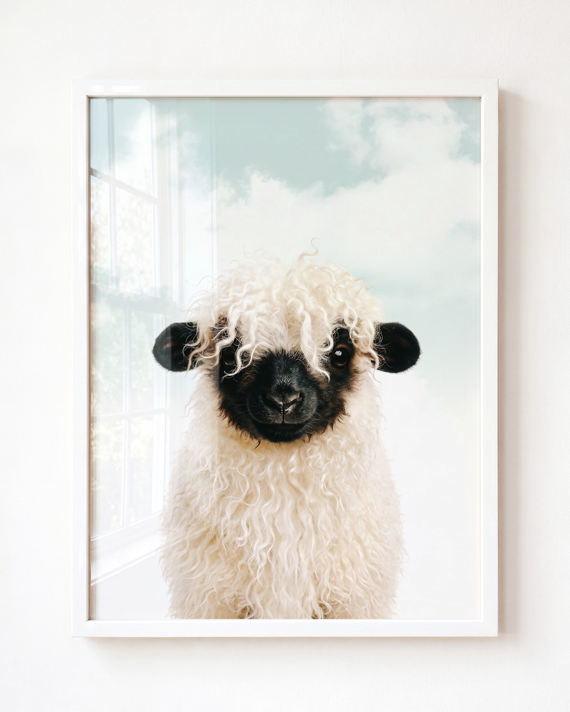 Baby Blacknose Sheep