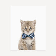 Bow Tie Cornflower
