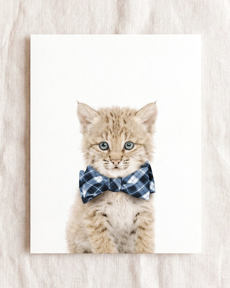 Bow Tie Cornflower