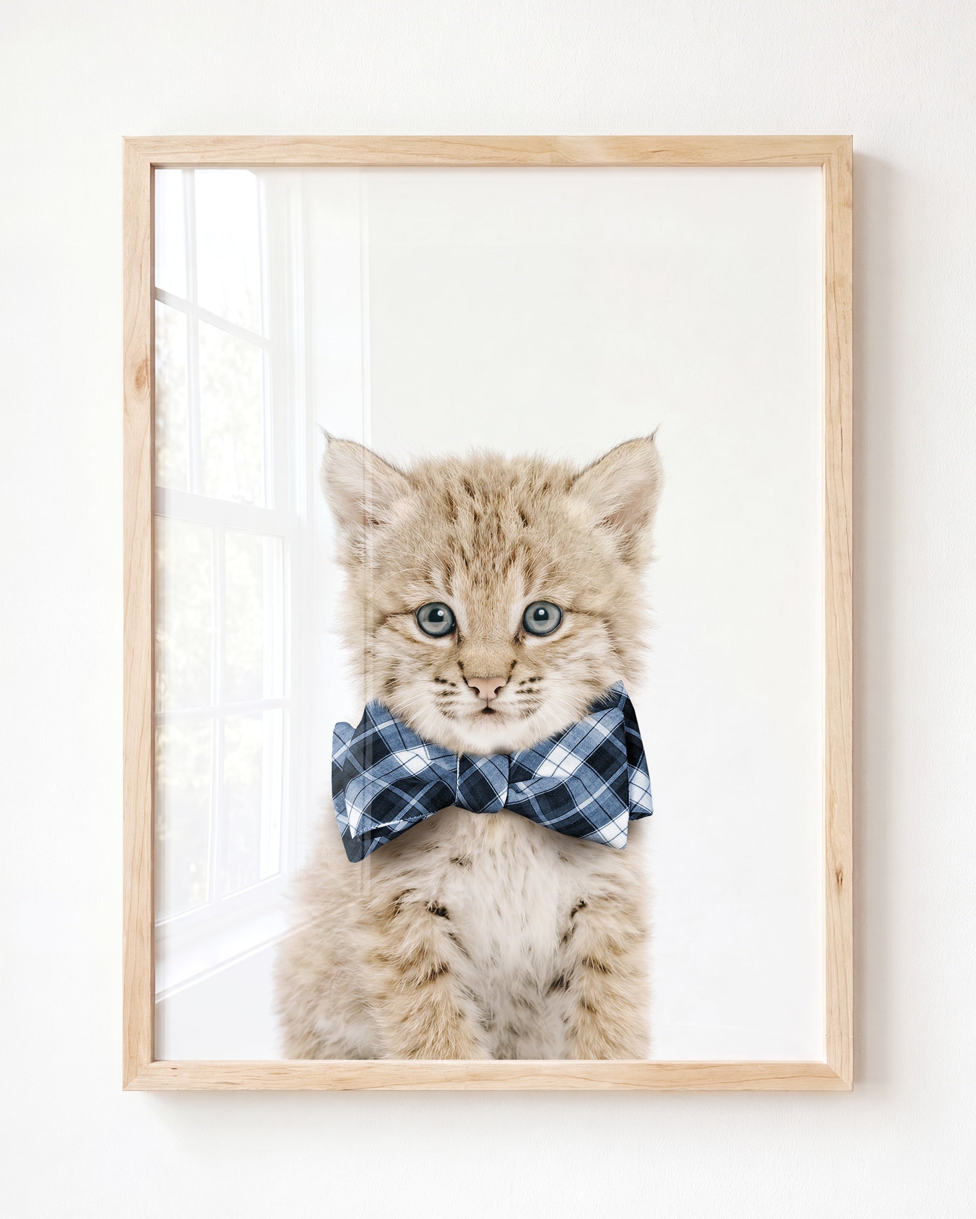 Baby Bobcat