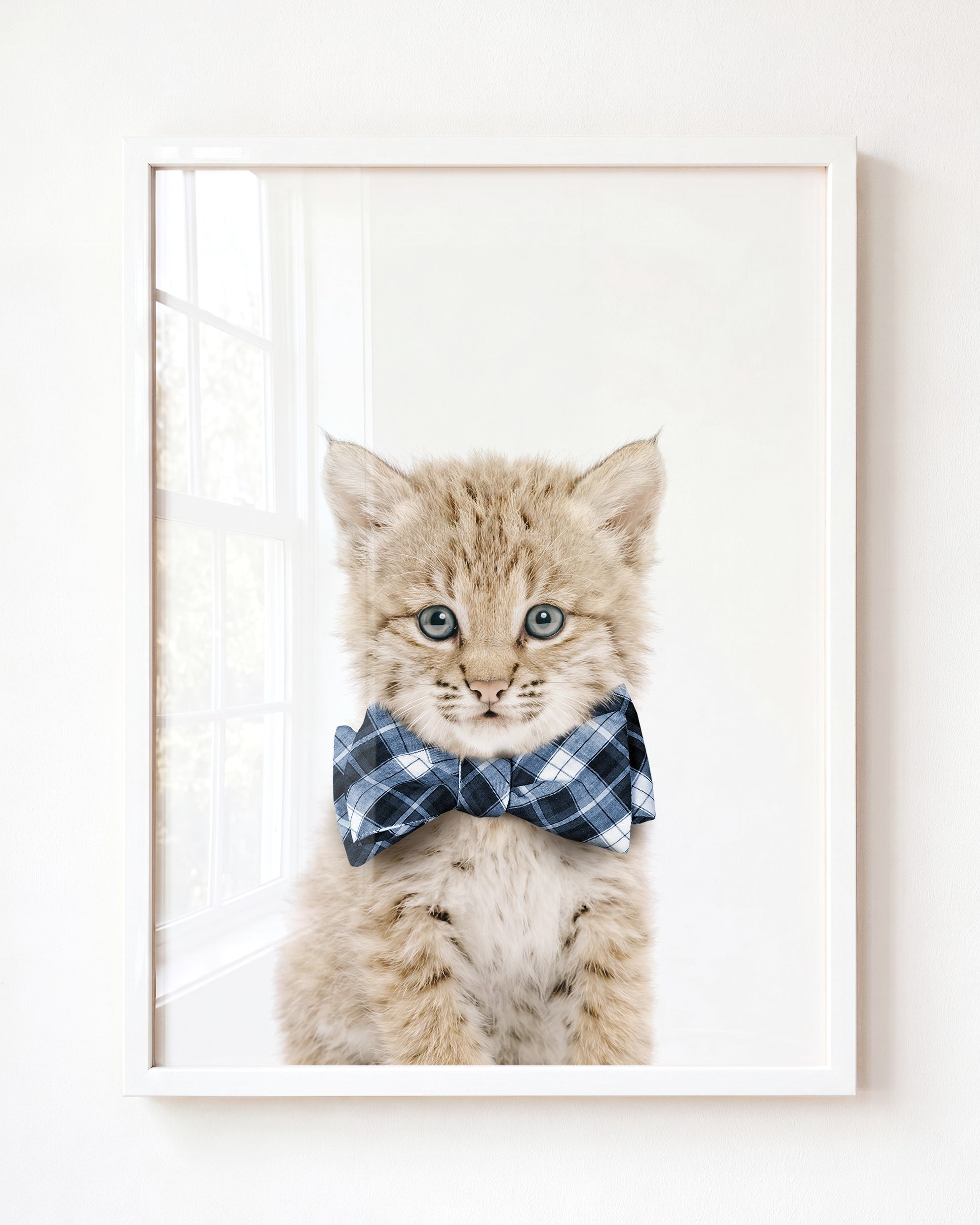 Baby Bobcat