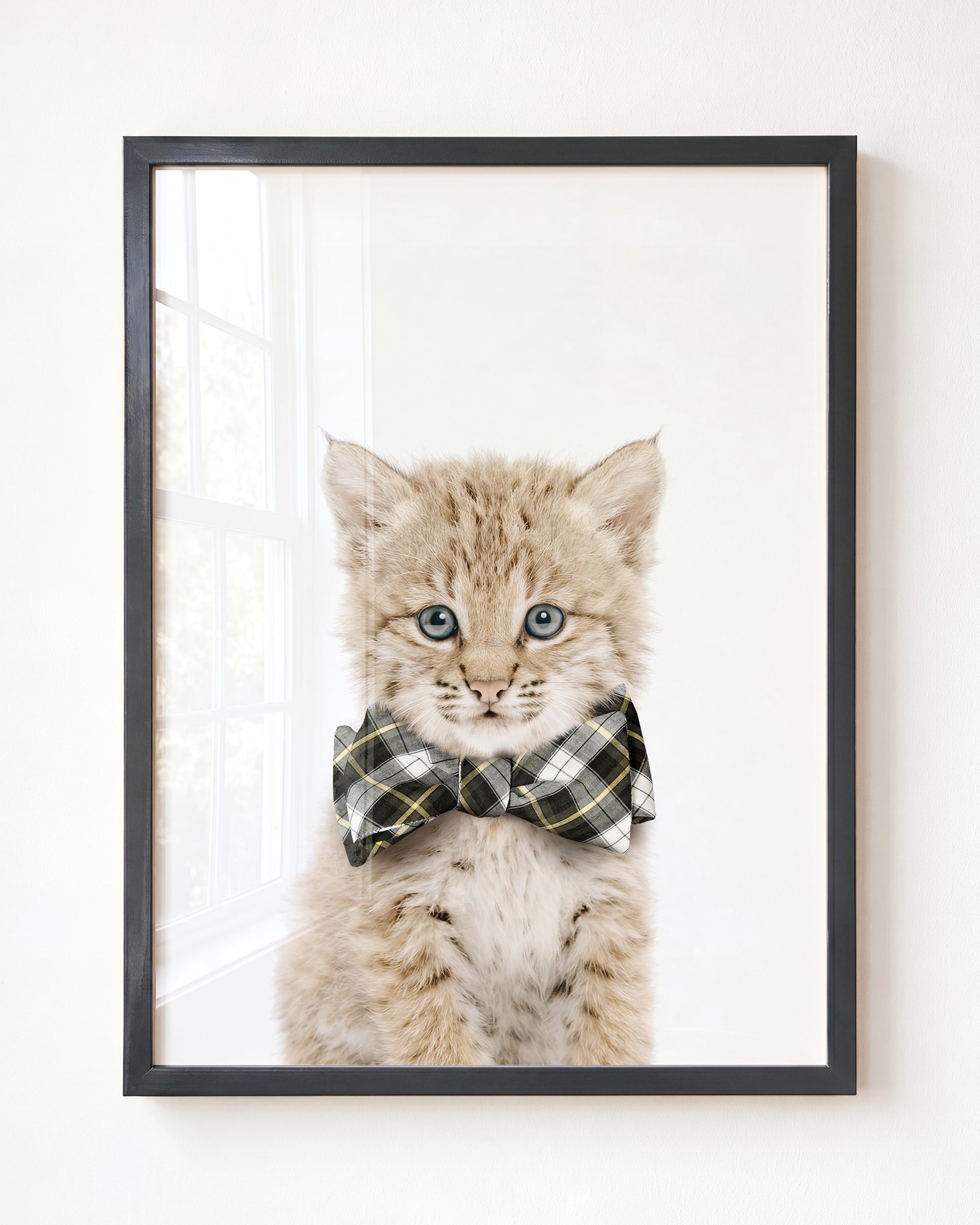 Baby Bobcat