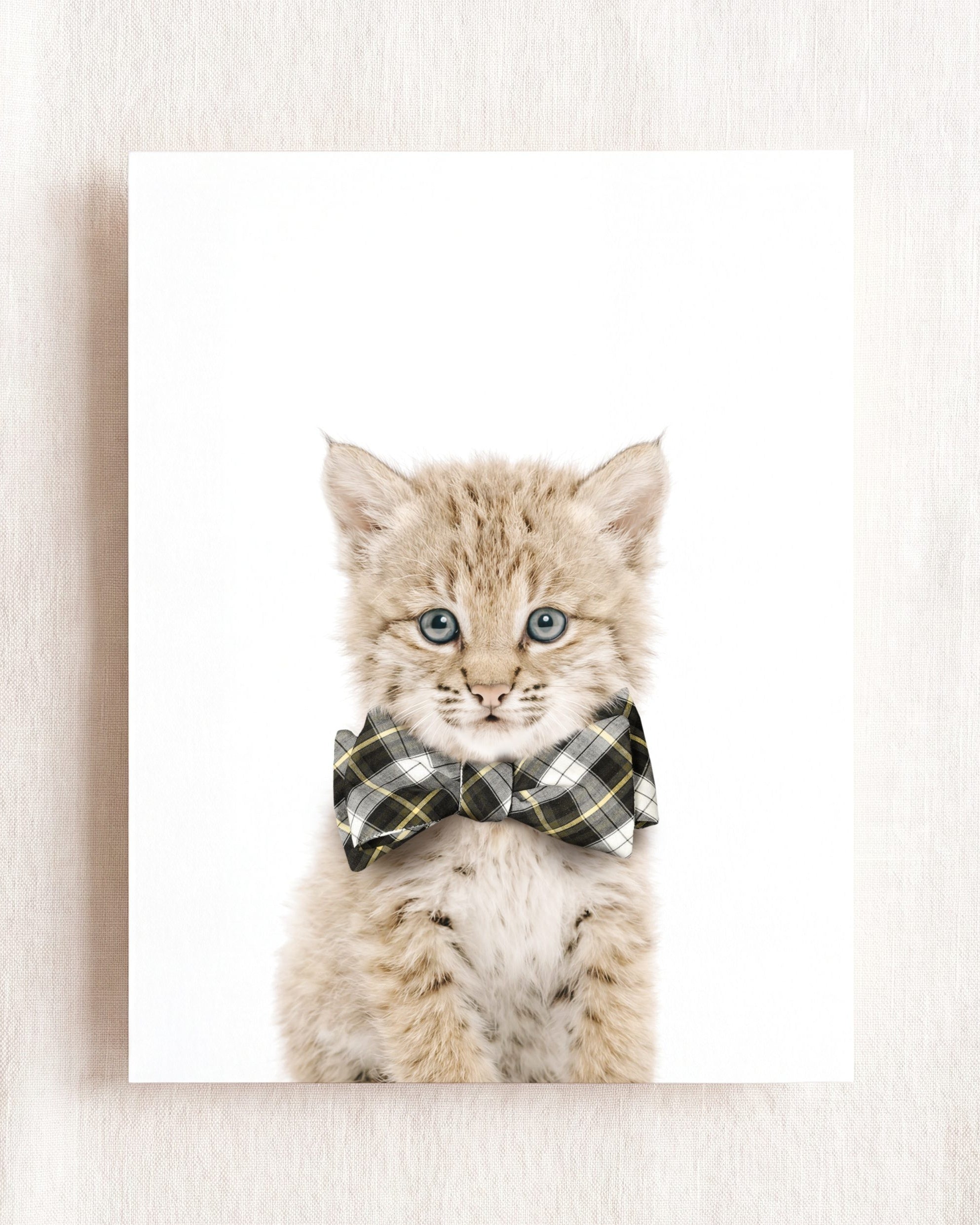 Baby Bobcat