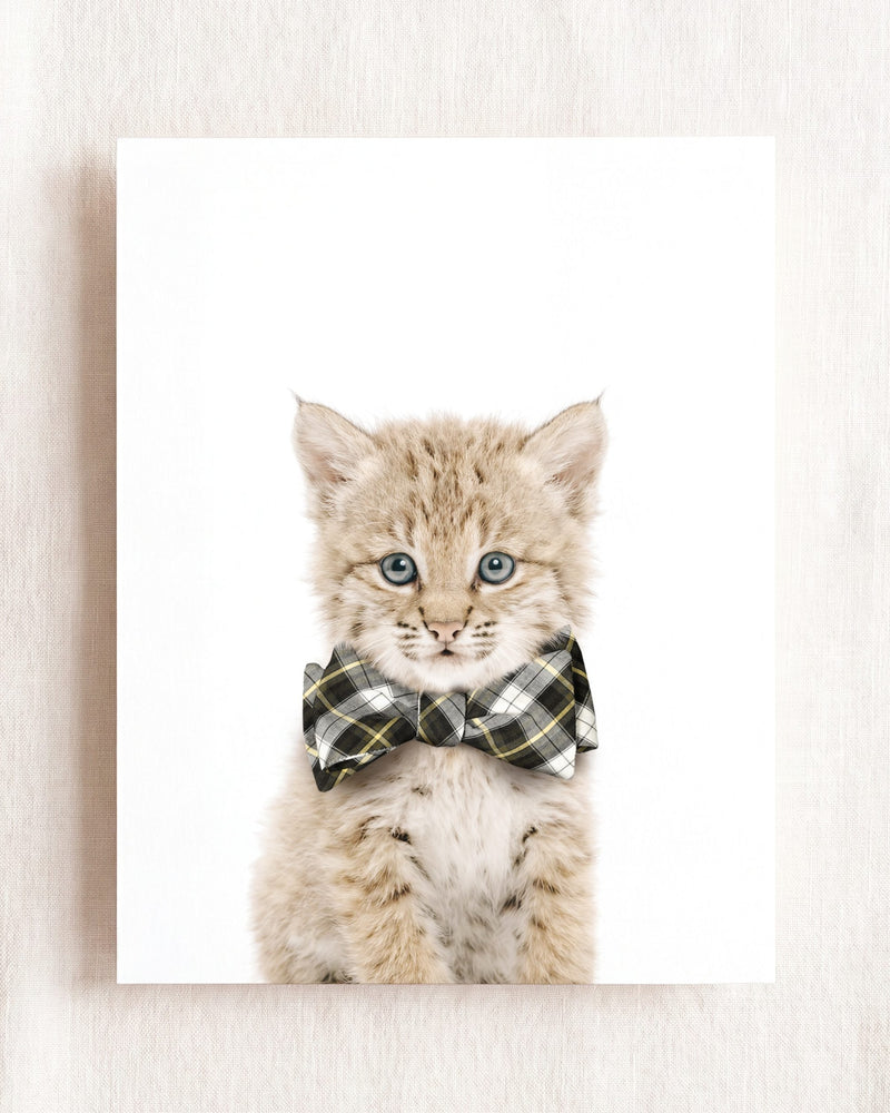 Bow Tie