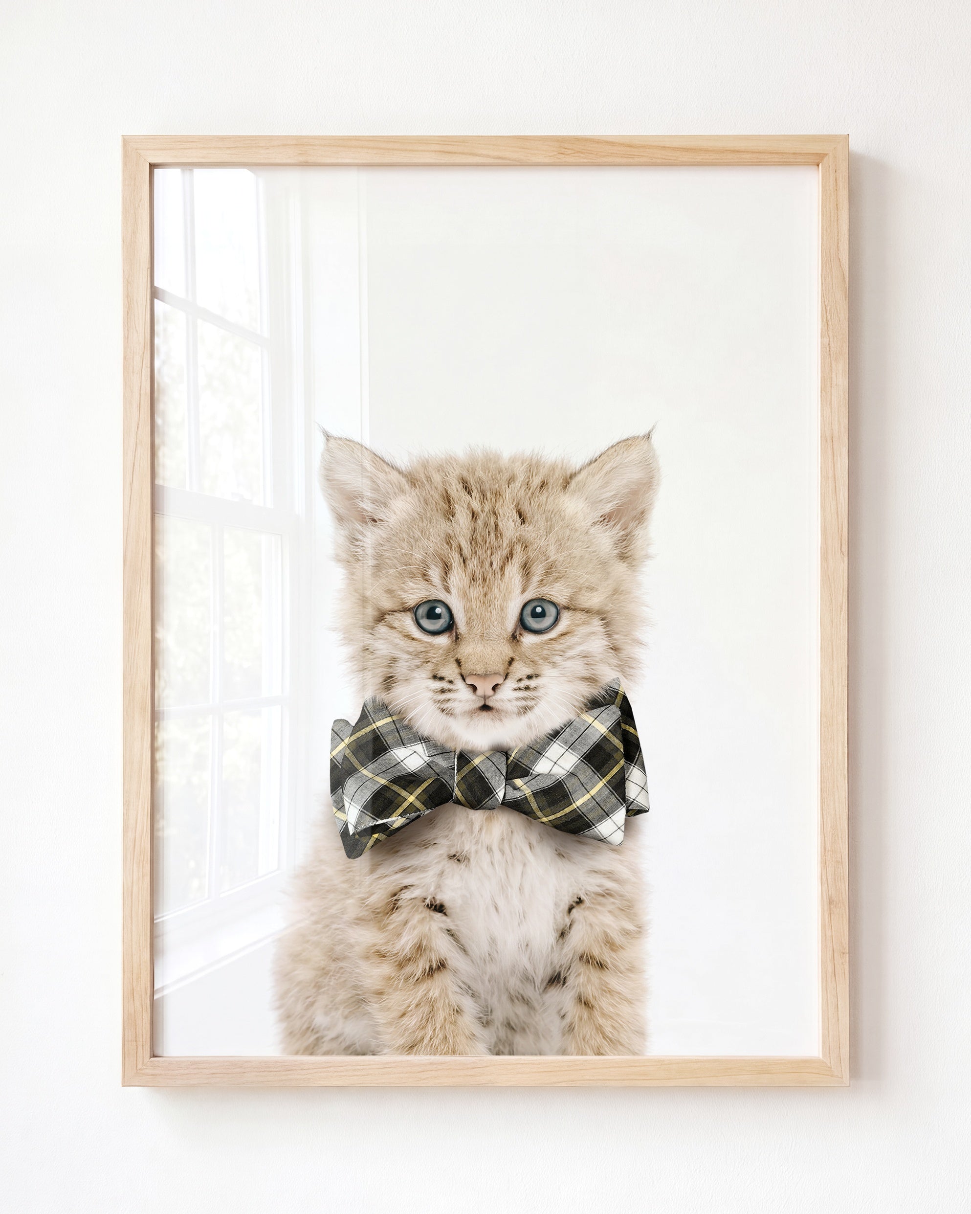 Baby Bobcat