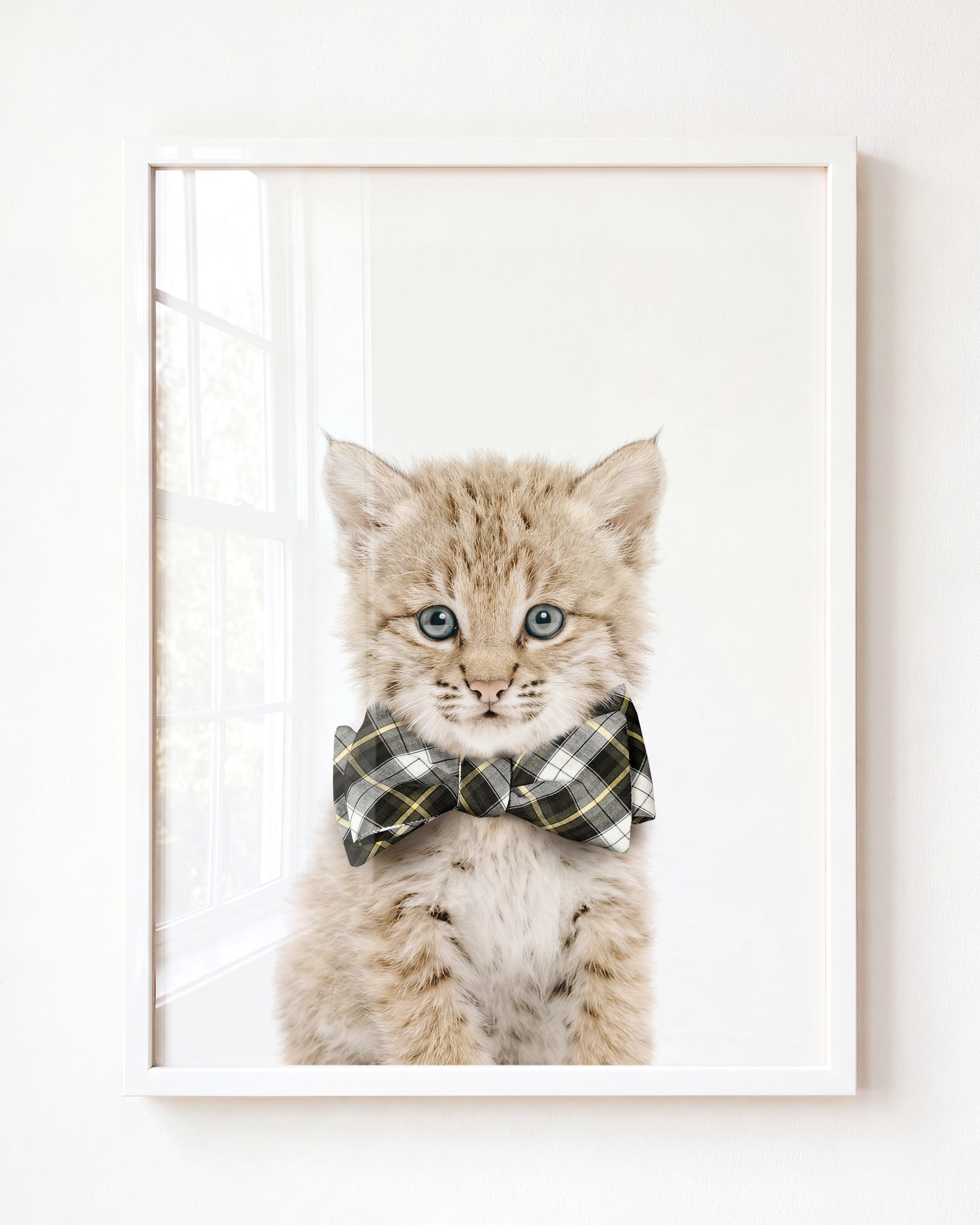 Baby Bobcat
