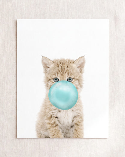 Baby Bobcat
