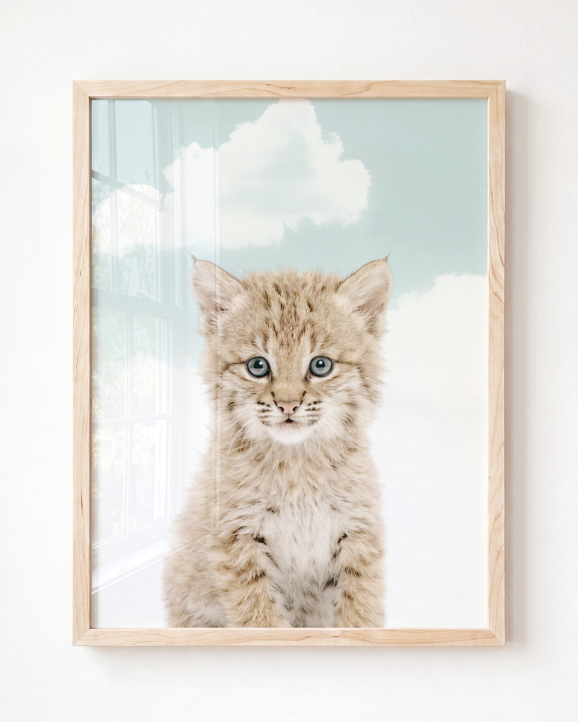 Baby Bobcat