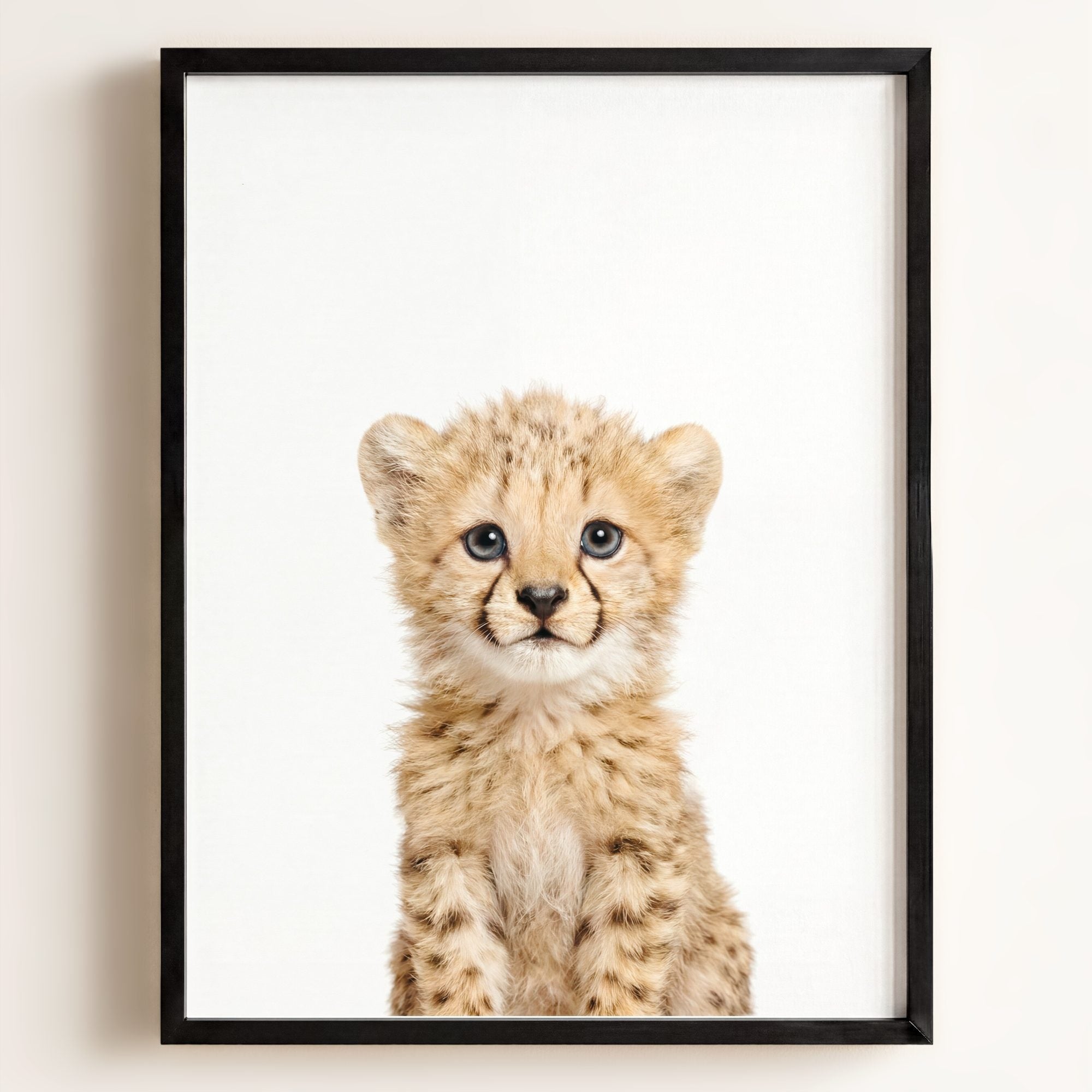 Baby Cheetah