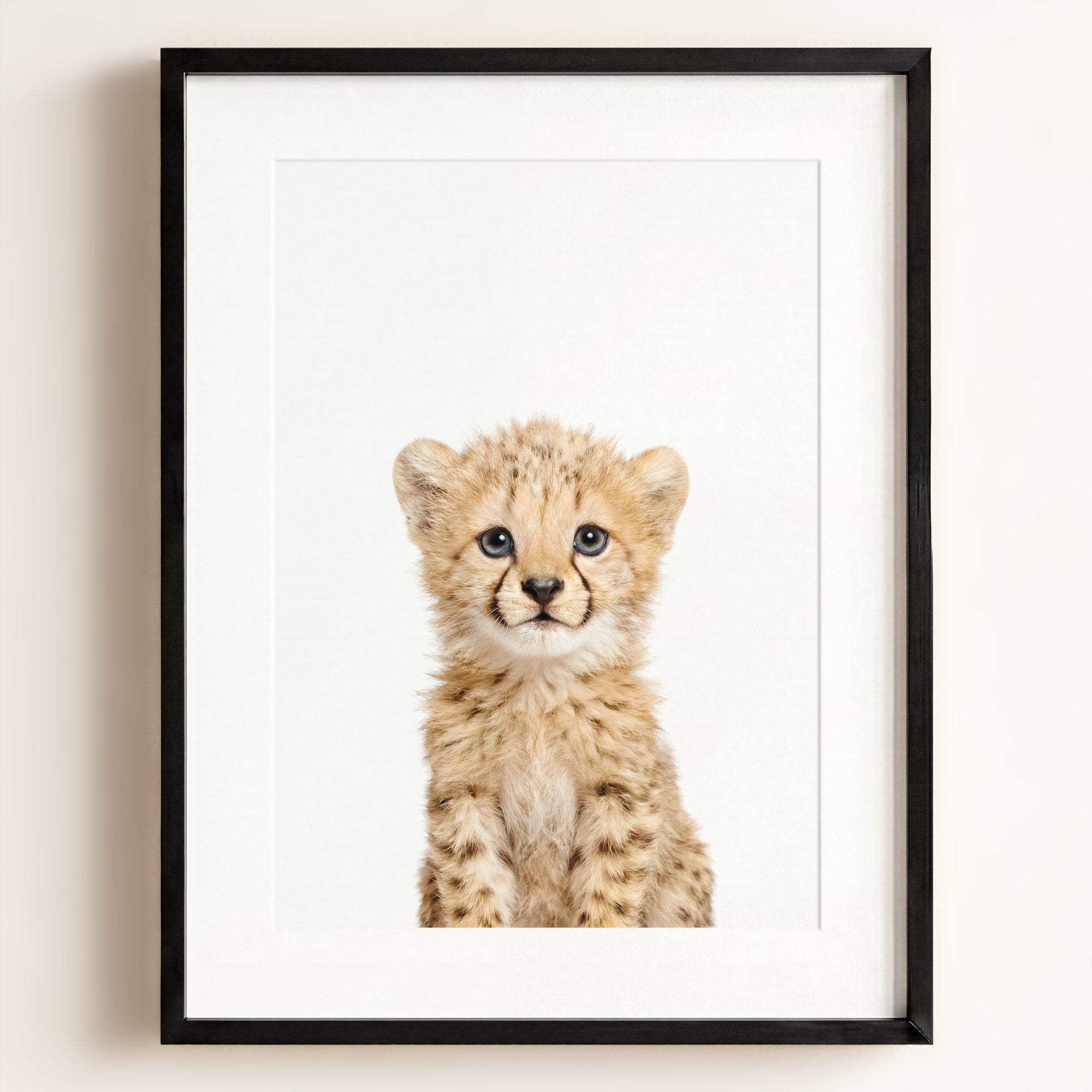 Baby Cheetah