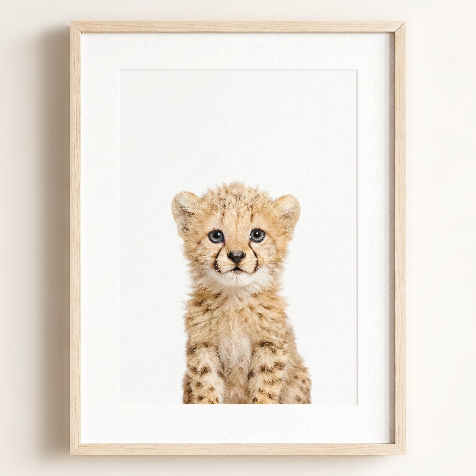 Baby Cheetah