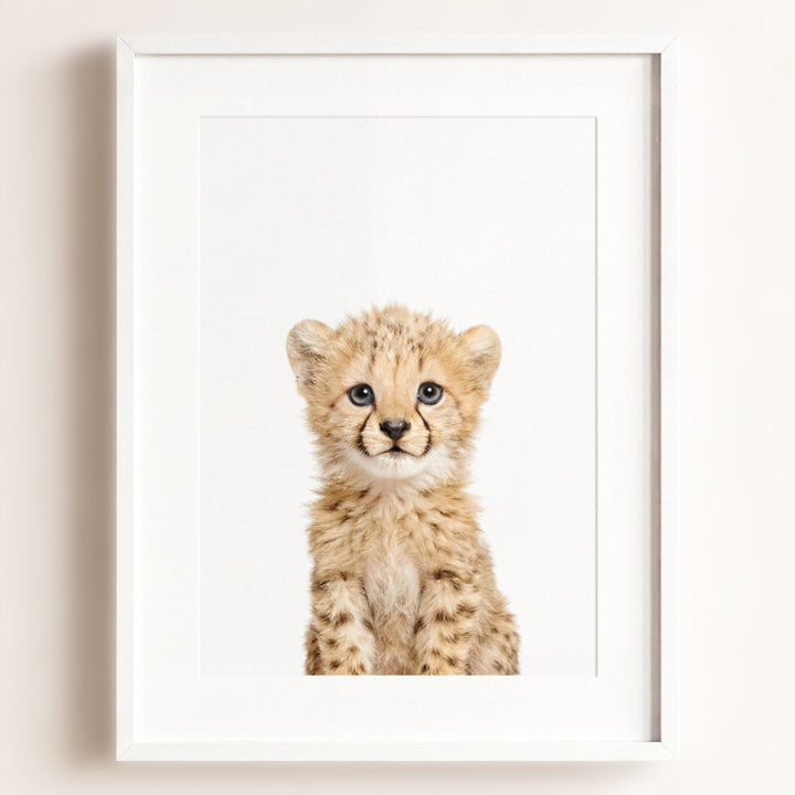 Baby Cheetah