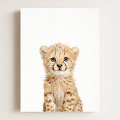 Baby Cheetah