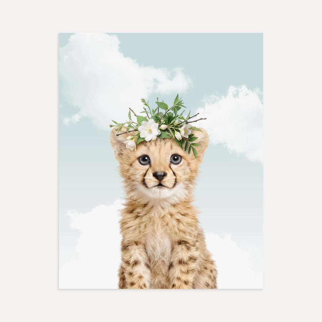 Baby Cheetah