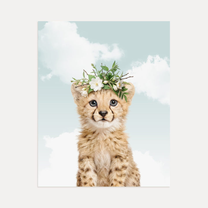 Baby Cheetah
