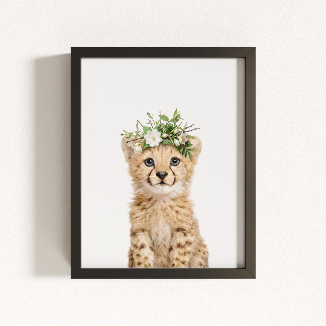 Baby Cheetah