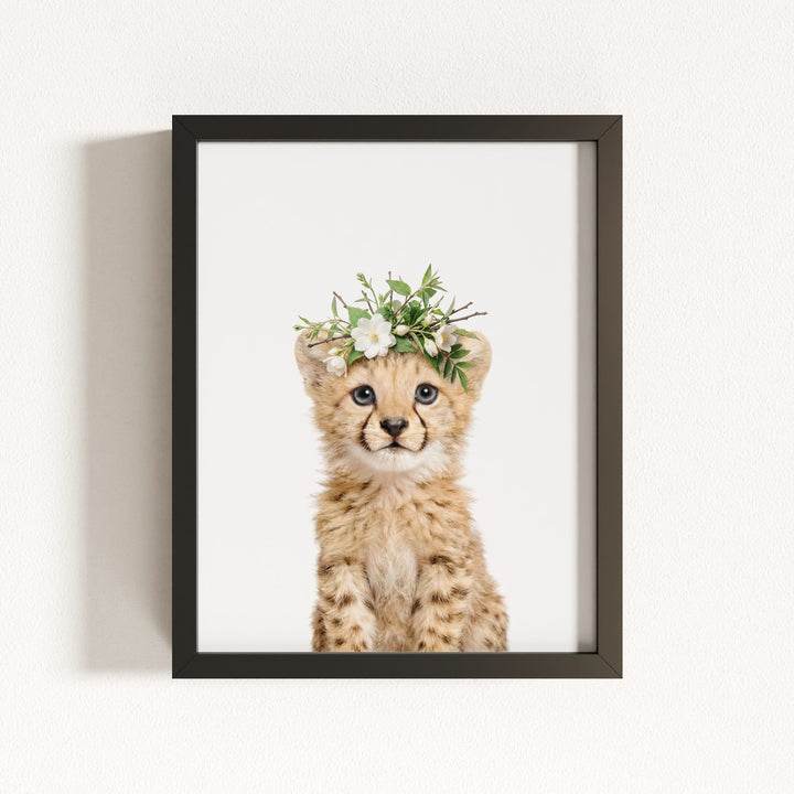 Baby Cheetah