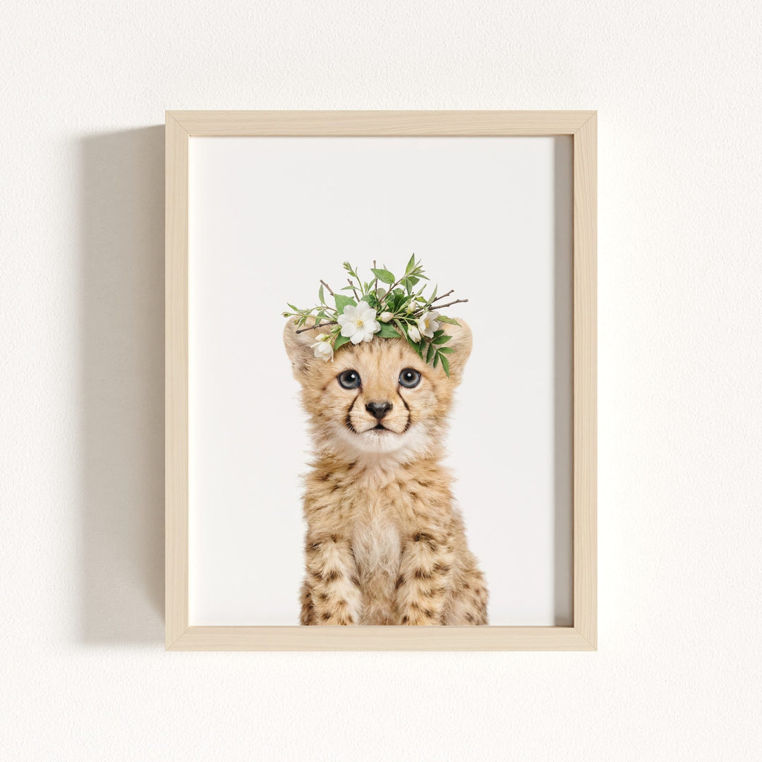 Baby Cheetah