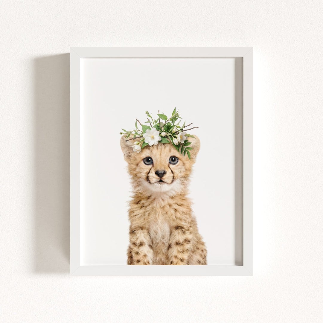 Baby Cheetah