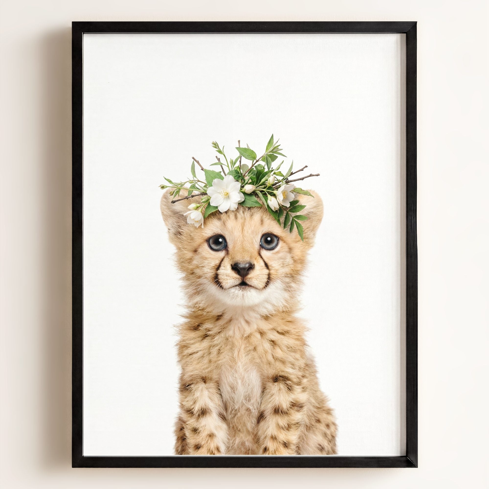 Baby Cheetah