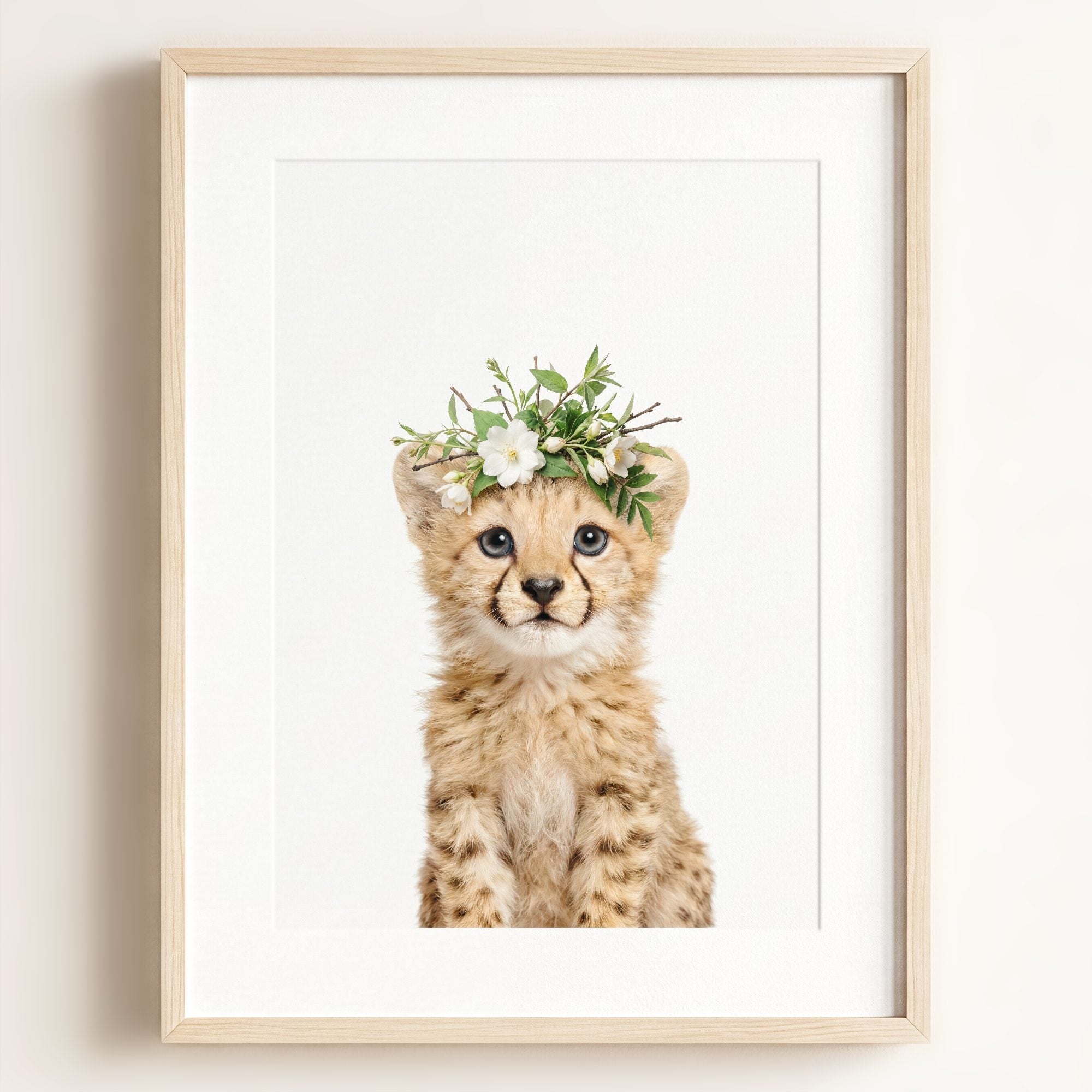 Baby Cheetah