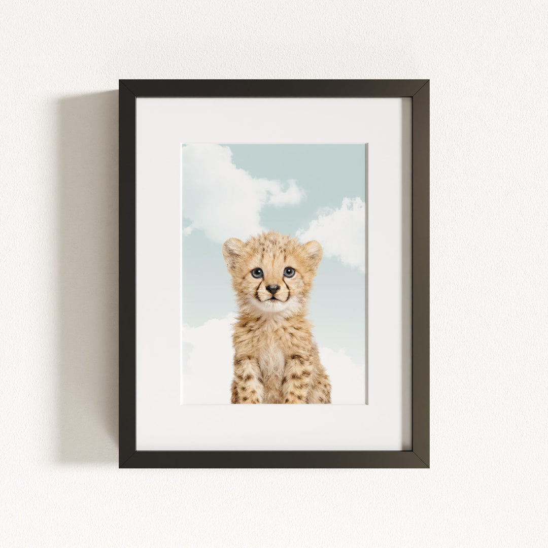 Baby Cheetah