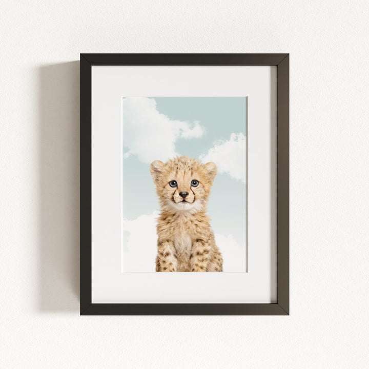 Baby Cheetah