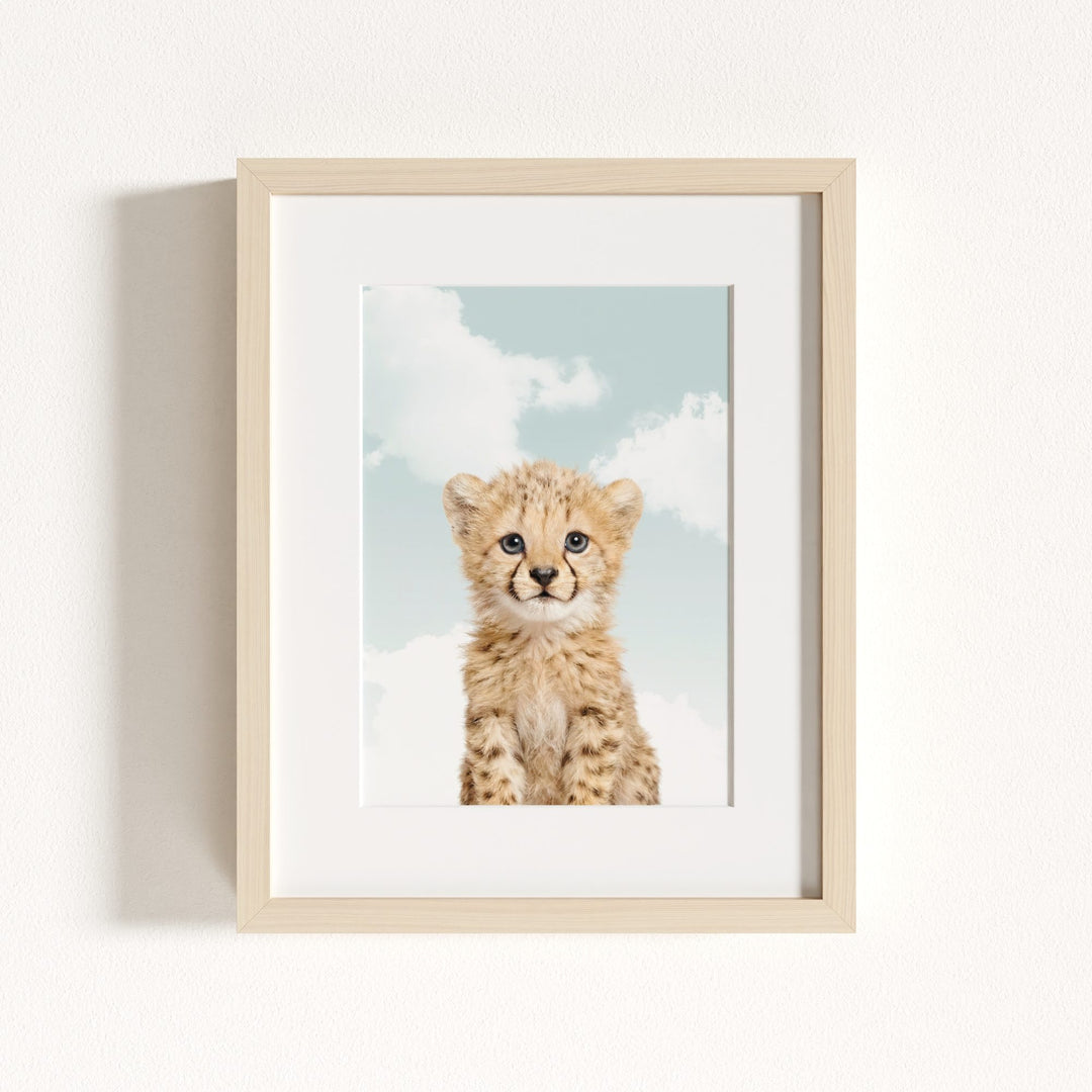 Baby Cheetah