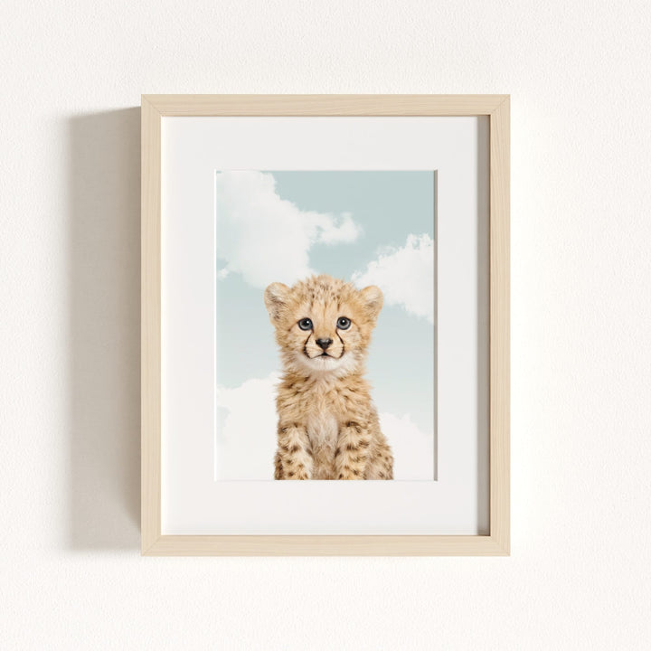 Baby Cheetah