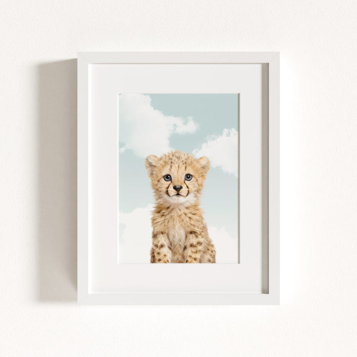 Baby Cheetah