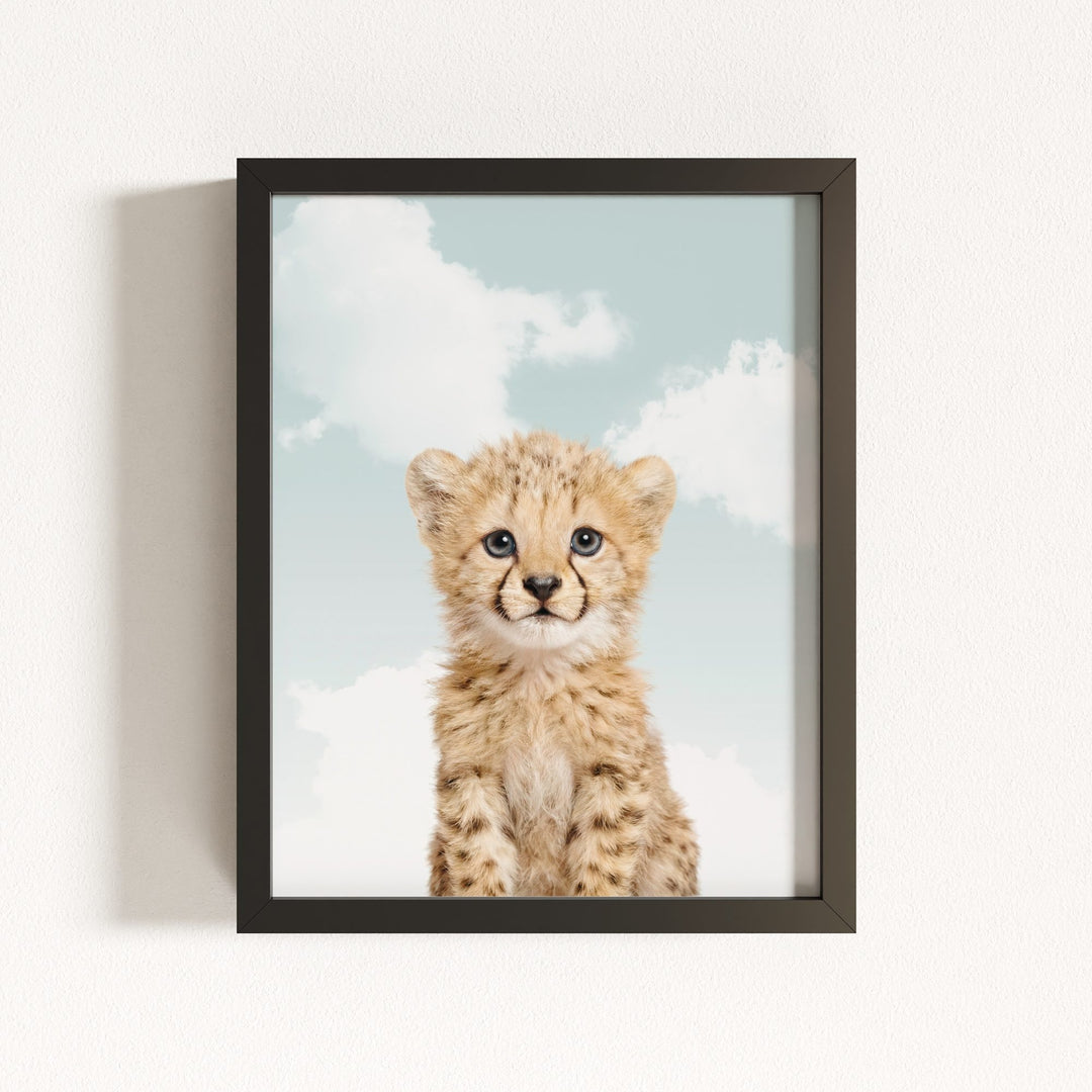 Baby Cheetah