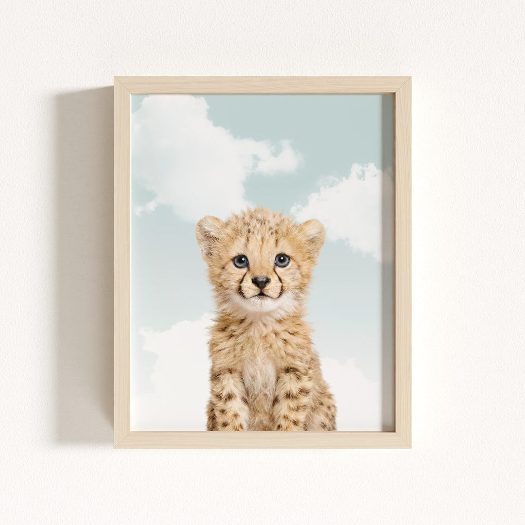 Baby Cheetah