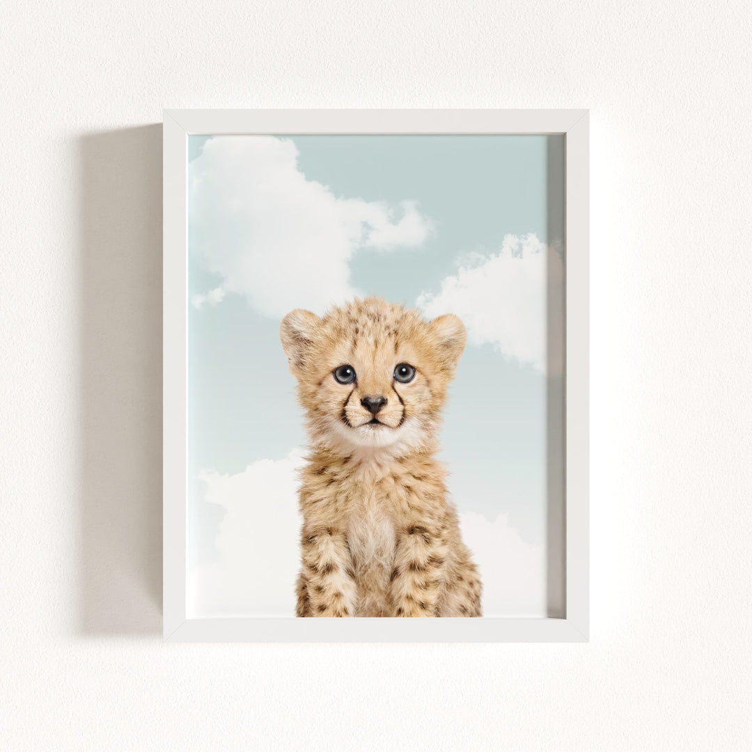 Baby Cheetah