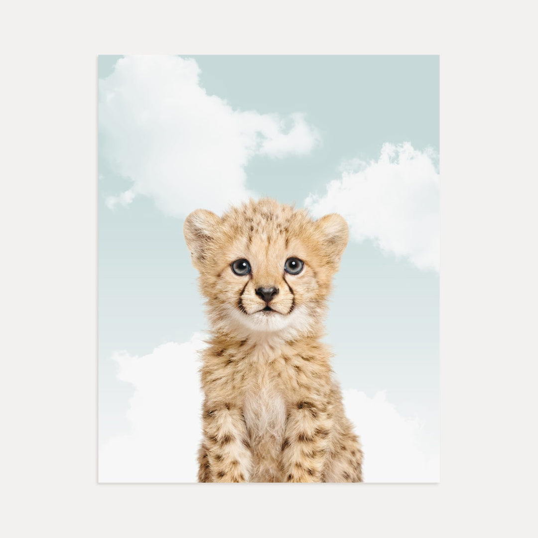 Baby Cheetah