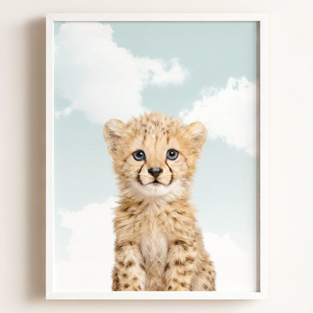 Baby Cheetah