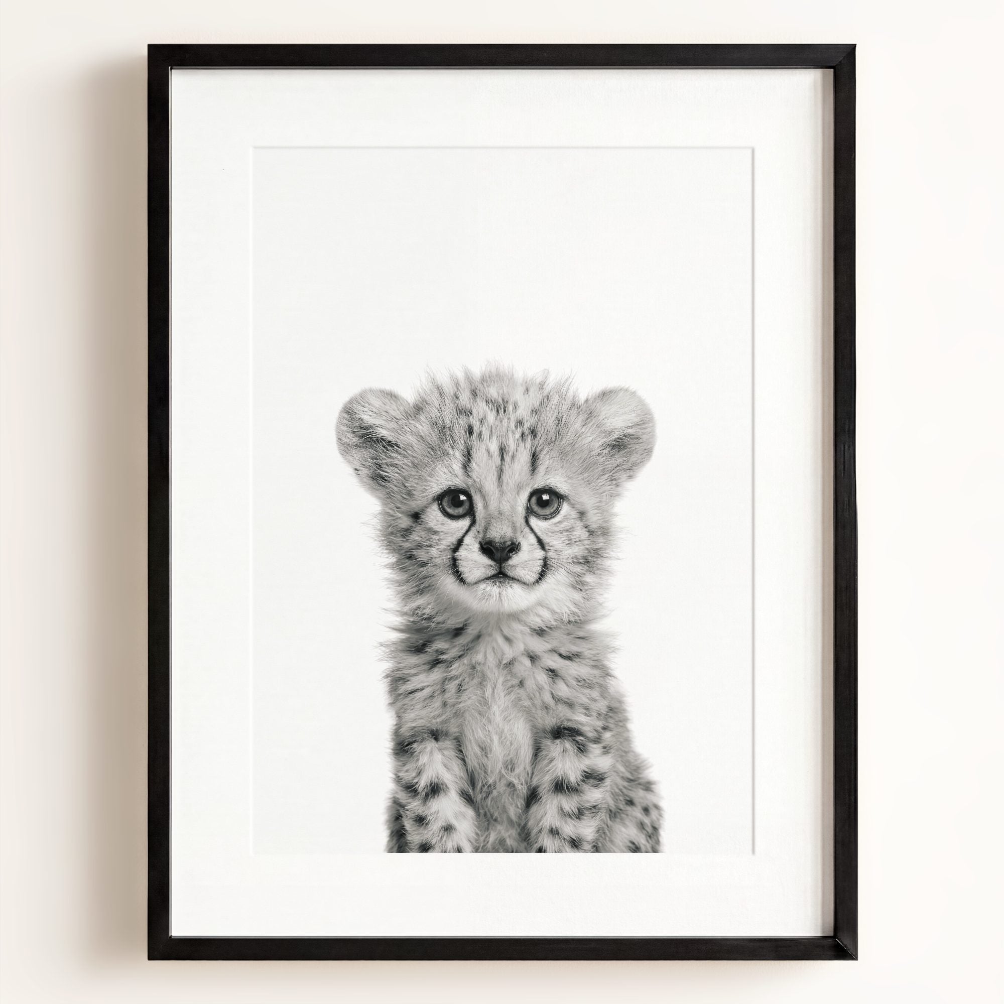 Baby Cheetah