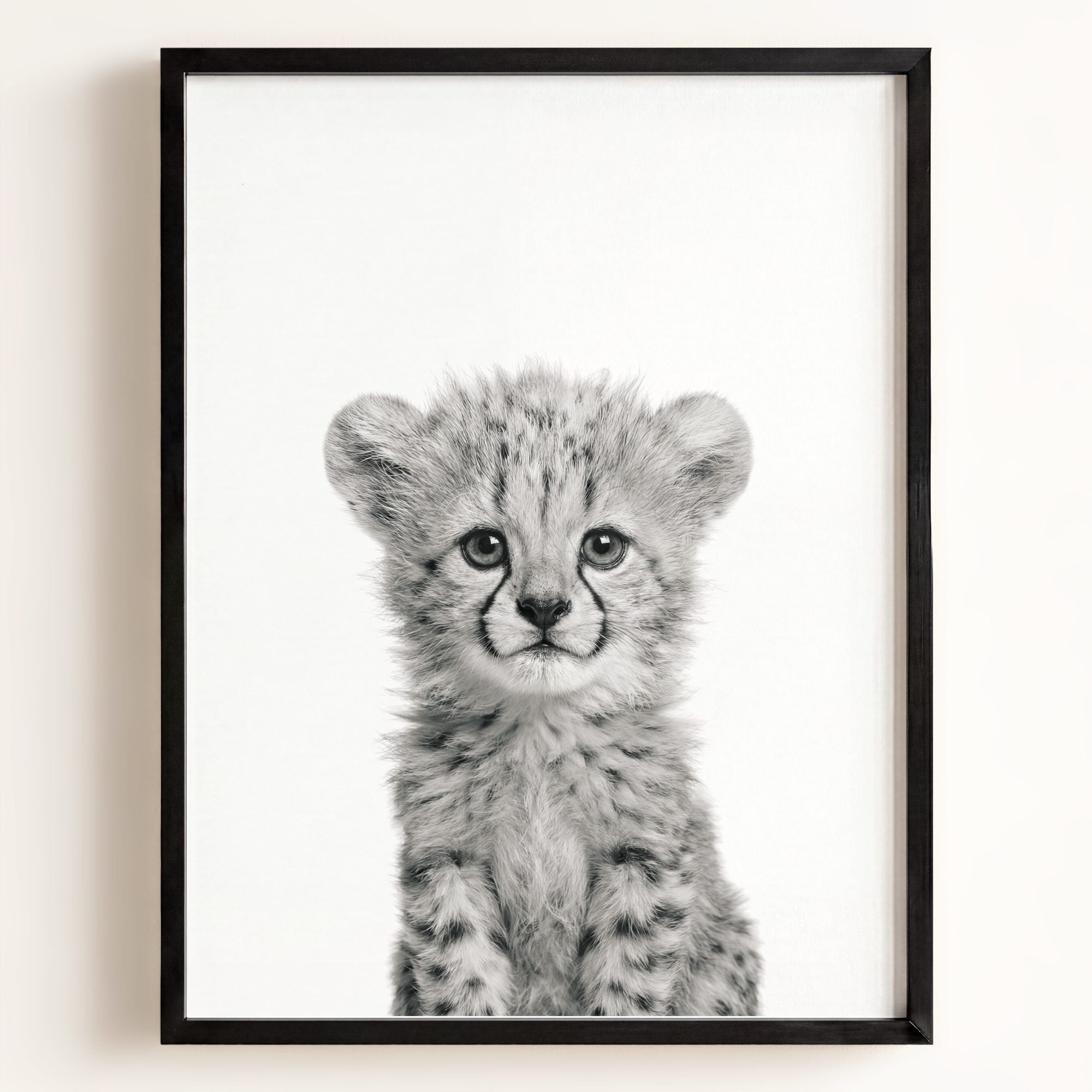 Baby Cheetah