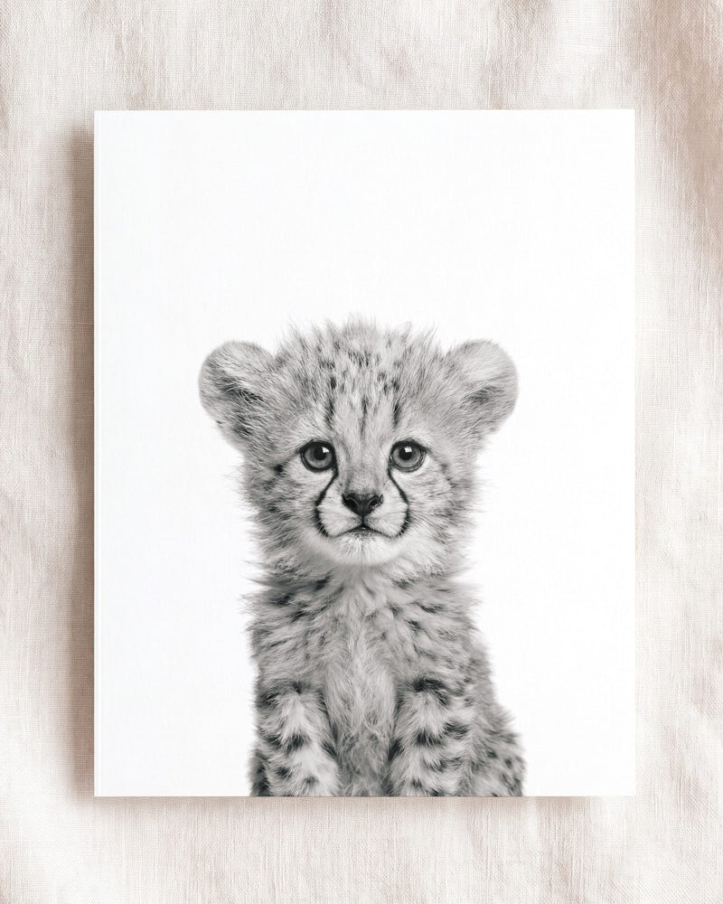 Black & White