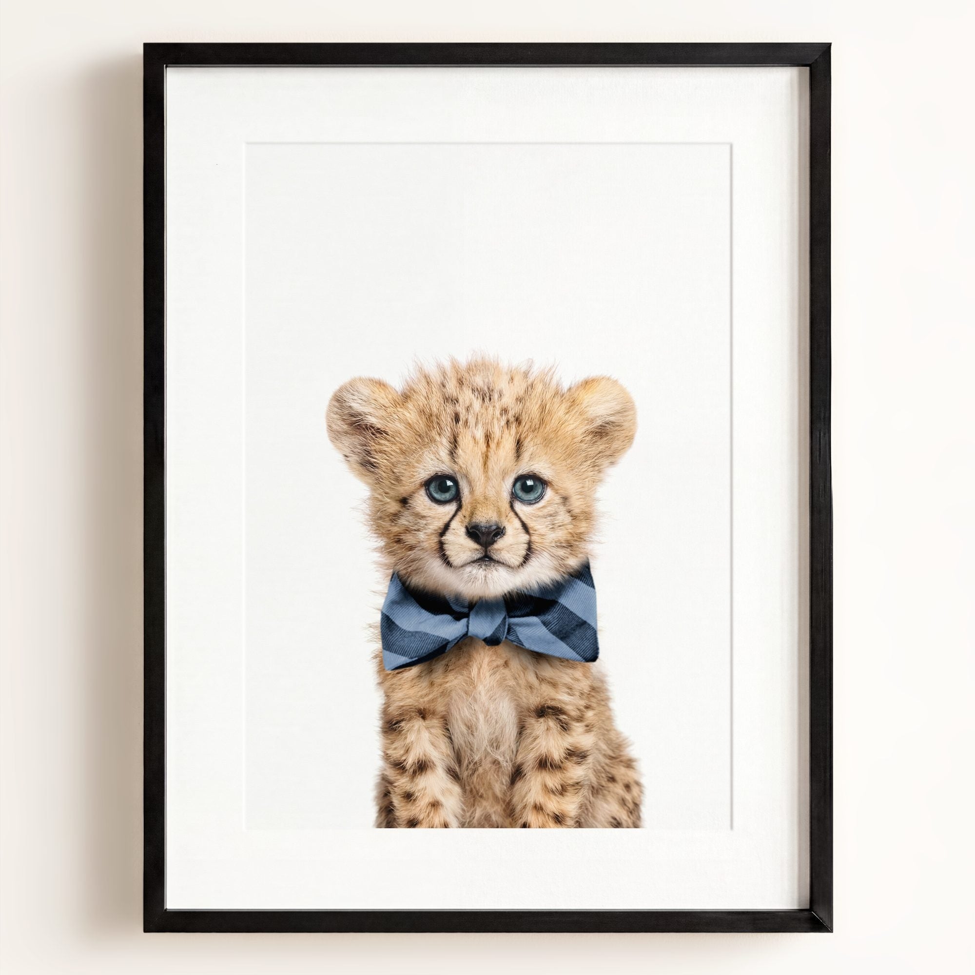 Baby Cheetah