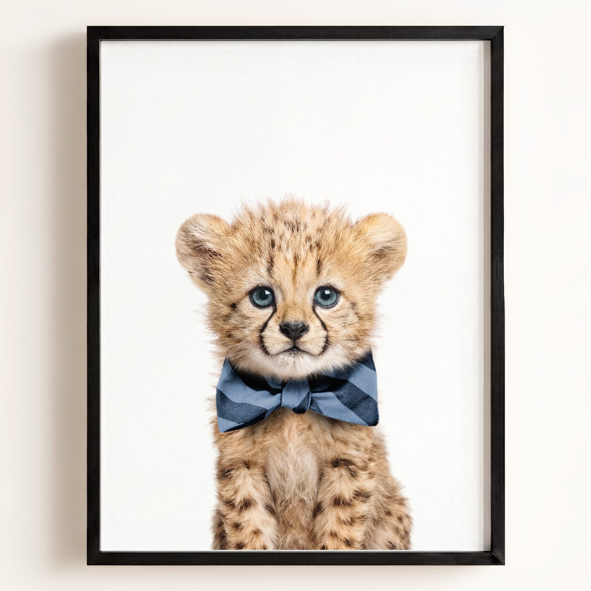 Baby Cheetah