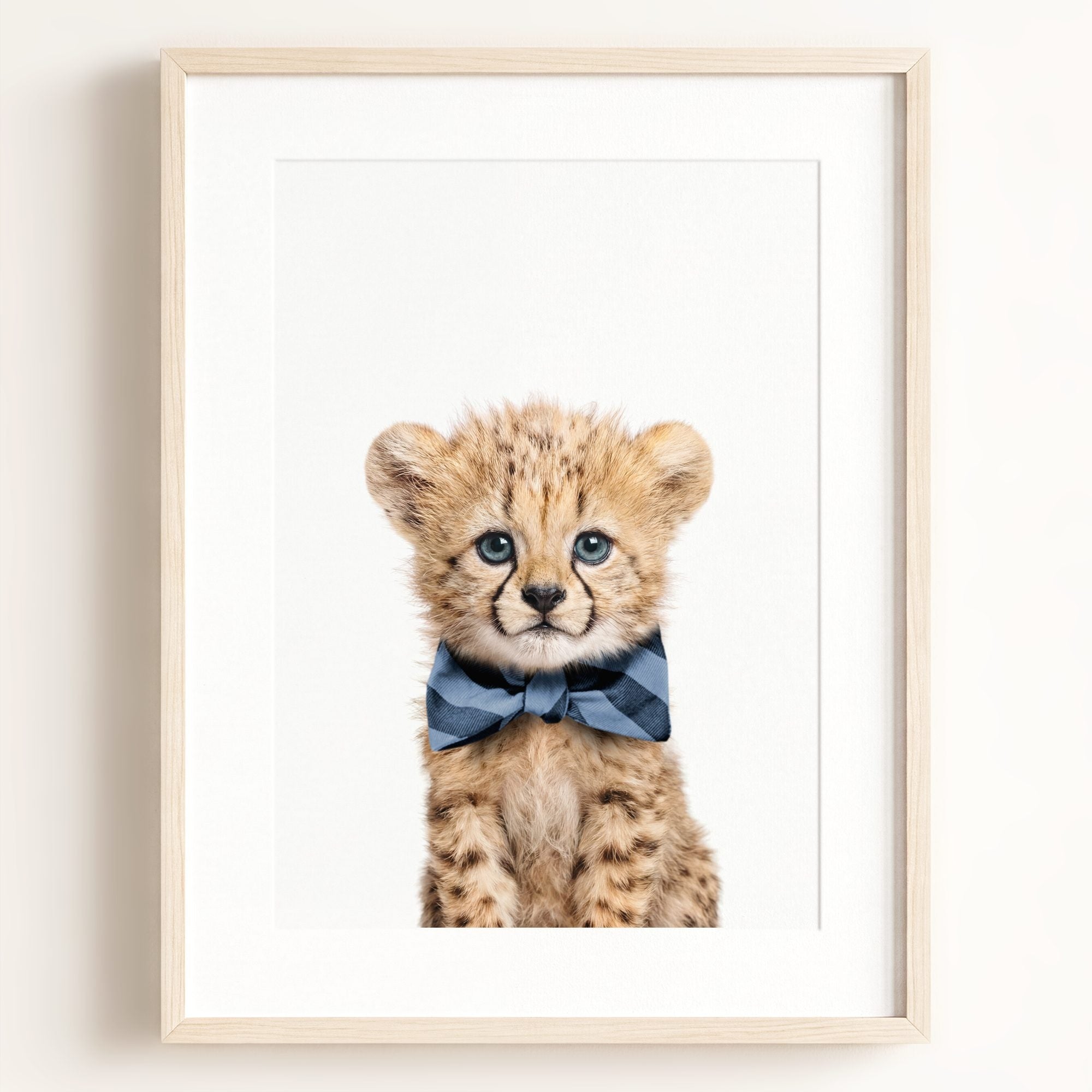 Baby Cheetah