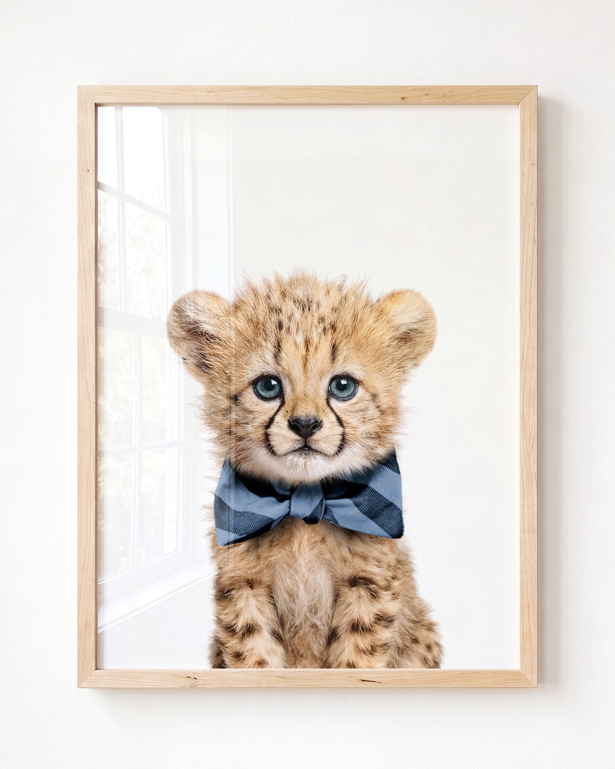 Baby Cheetah