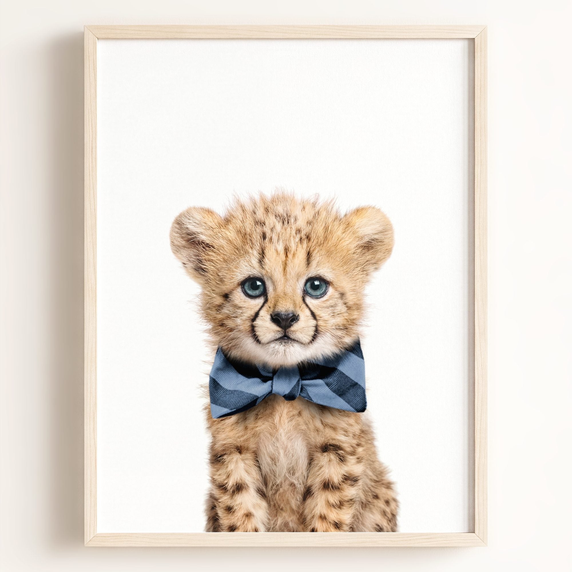 Baby Cheetah