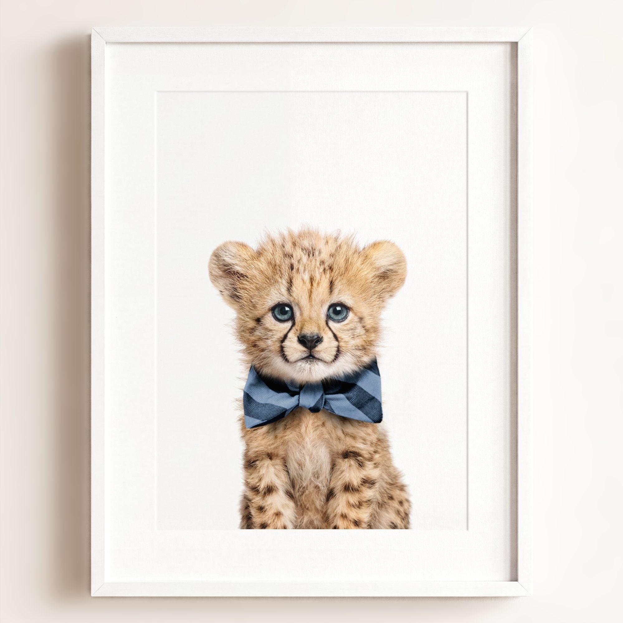 Baby Cheetah