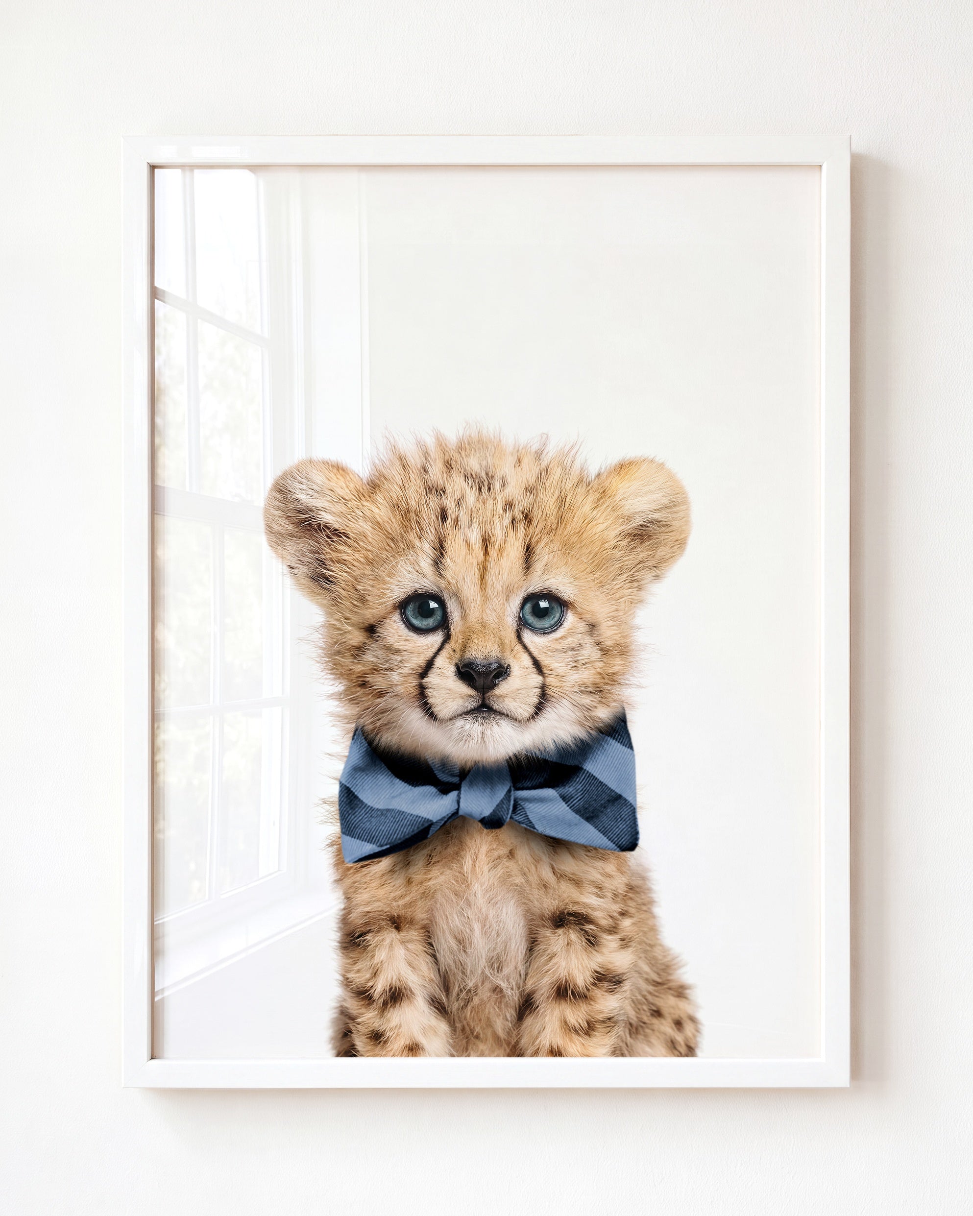 Baby Cheetah