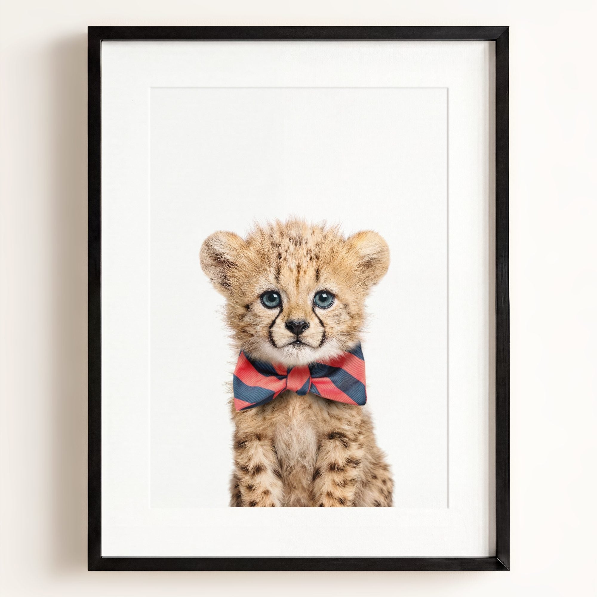 Baby Cheetah